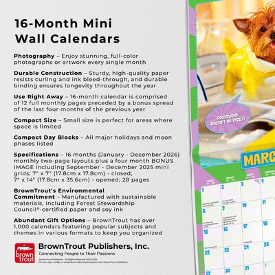 2026 BrownTrout Avanti Livin' the Dream 7" x 7" Monthly Wall Calendar (9798330707966)