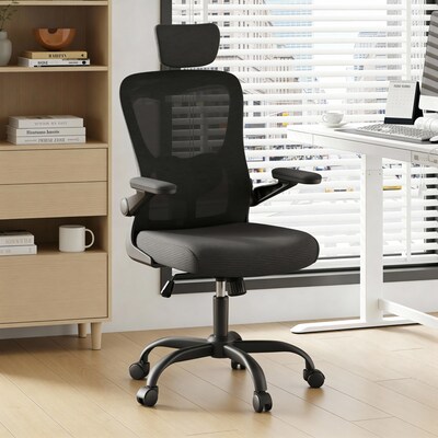 FlexiSpot Pro Comfort Swivel Computer and Desk Chair, Black (OC1BK-SD-DP)