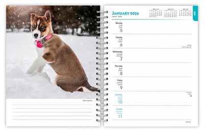 2026 BrownTrout I Love Puppies 6.5" x 7.75" Weekly Planner (9798330705269)