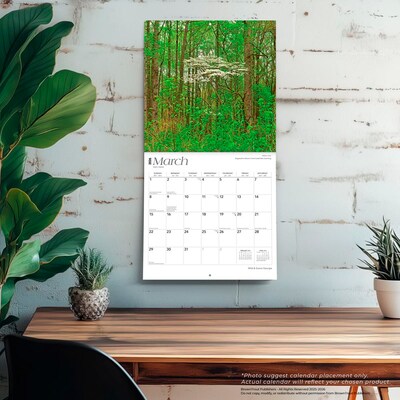 2026 BrownTrout Georgia Wild & Scenic 12" x 12" Monthly Wall Calendar (9798330703340)