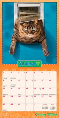 2026 BrownTrout Avanti Cranky Kitties 7" x 7" Monthly Wall Calendar (9798330701407)