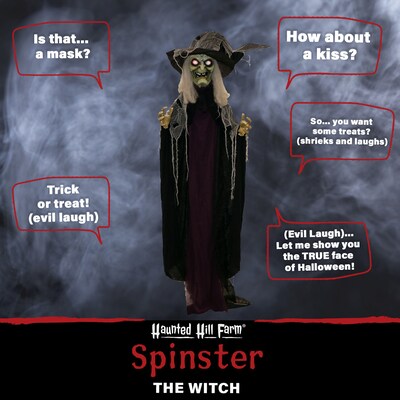 Haunted Hill Farm Life-Size Poseable Witch (HHWITCH-27FLSA)