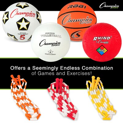 Physical Education Kit, 7 Assorted Balls & 14 Assorted Size Jump Ropes/Kit (CHUUPGSET2)