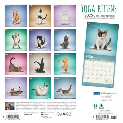 2025 Plato Yoga Kittens 12 x 12 Monthly  Wall Calendar (9781975480134)