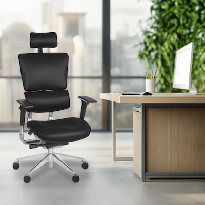 Regency Omega Ergonomic Leather Executive Office Chair w/ Headrest, Black (OMG004BK)