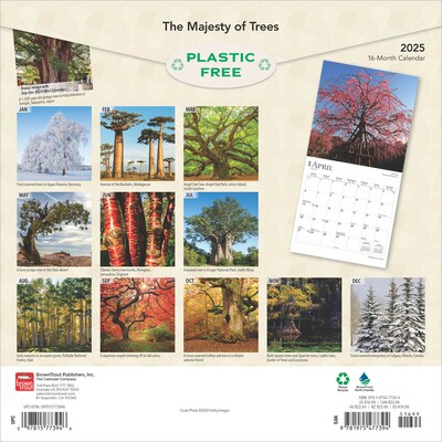 2025 BrownTrout The Majesty of Trees 12" x 12" Monthly Square Wall Calendar (9781975477394)