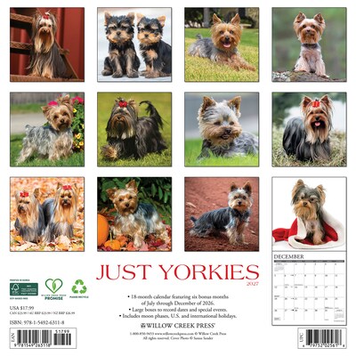 2027 Willow Creek Yorkies 12 x 12 Monthly Wall Calendar, Assorted Colors (63118)