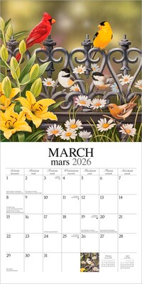 2026 BrownTrout Feathered Friends 12" x 12" Monthly Wall Calendar (9781773728780)