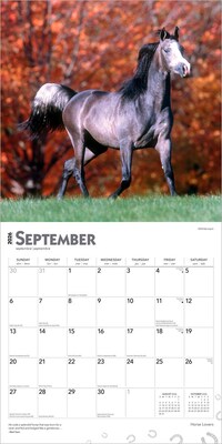 2026 BrownTrout Horse Lovers 12" x 12" Monthly Wall Calendar (9798330703739)