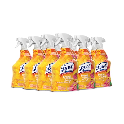 Lysol Brand New Day Disinfecting All-Purpose Cleaner Spray Bottle, Mango & Hibiscus Scent, 32 oz. (19200-98769)
