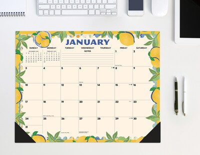 2027 Willow Creek Mediterranean Moments 22" x 17" Monthly Desk Pad Calendar, Assorted Colors (66584)