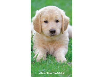 2025-2026 Willow Creek Puppy Love 3.5 x 6.5 Monthly Planner, Paper Cover, Multicolor (47088)