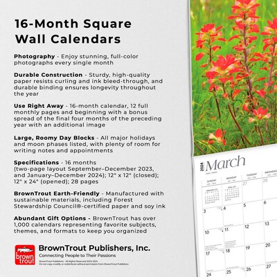 2024 BrownTrout Texas Wildflowers 12" x 24" Monthly Wall Calendar (9781975465353)