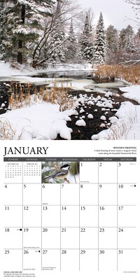 2026 Willow Creek Life in the Northwoods 12" x 12" Monthly Wall Calendar (55472)