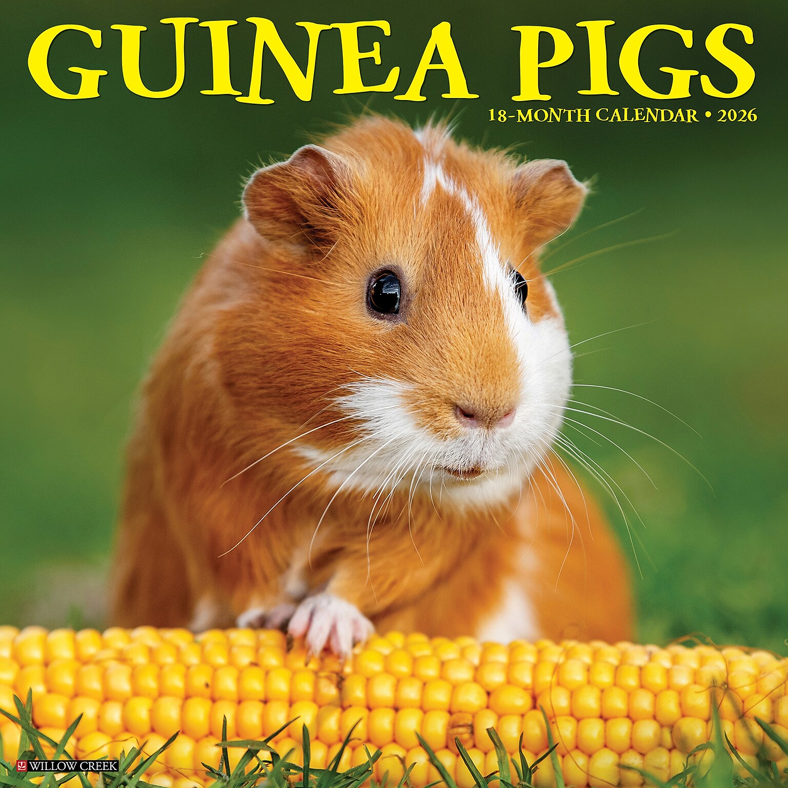 2026 Willow Creek Guinea Pigs 12 x 12 Monthly Wall Calendar (51405)