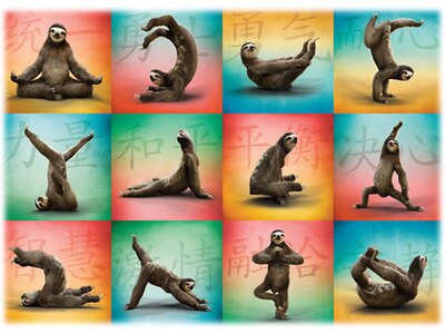 Willow Creek Sloth Yoga 1000-Piece Jigsaw Puzzle (48246)