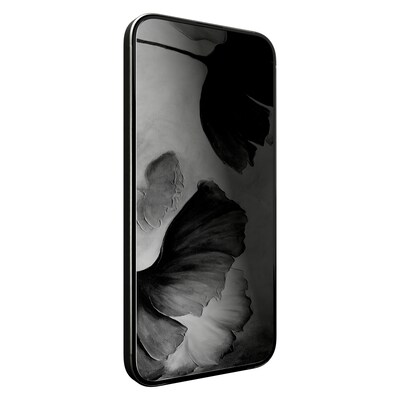 cellhelmet Tempered Glass Privacy Filter & Screen Protector for iPhone 17 (CHELSP106C000)