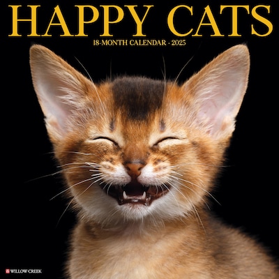2025 Willow Creek Happy Cats 12 x 12 Monthly Wall Calendar (43288)