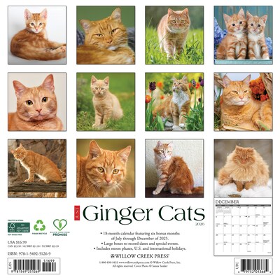 2026 Willow Creek Ginger Cats 12 x 12 Monthly Wall Calendar (51269)