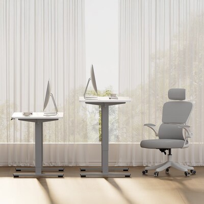 FlexiSpot ET155E 48"W Electric Rectangular Adjustable Standing Desk, White/Gray (4SPL-S09010065)