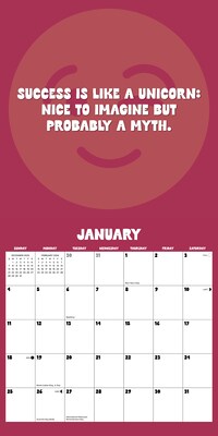 2026 Willow Creek You Don't Got This 12" x 12" Monthly Wall Calendar (53386)