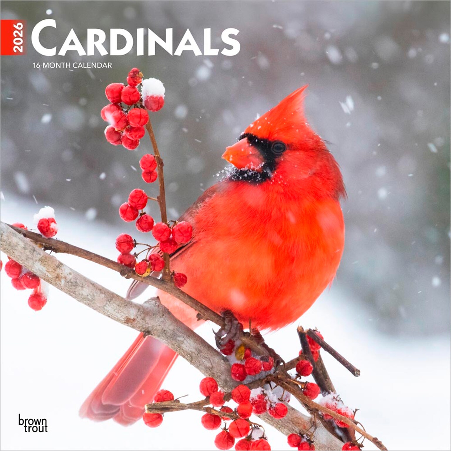 2026 BrownTrout Cardinals 12 x 12 Monthly Wall Calendar (9798330702749)