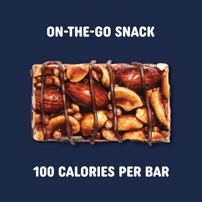 Pick Me Up Provisions™ Mini Gluten Free Salted Caramel Dark Chocolate Nut Bar, 0.7 oz., 20/Box (PM62