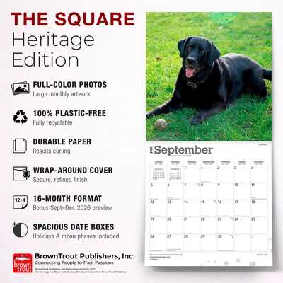 2027 BrownTrout Black Labrador Retrievers 12" x 12" Monthly Wall Calendar (9798330712557)