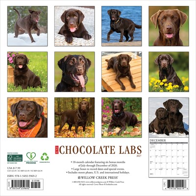 2027 Willow Creek Chocolate Labs  12 x 12 Monthly Wall Calendar (59692)