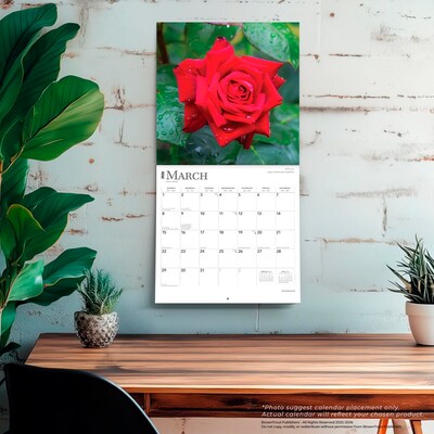 2026 BrownTrout Roses 12" x 12" Monthly Wall Calendar (9798330705382)