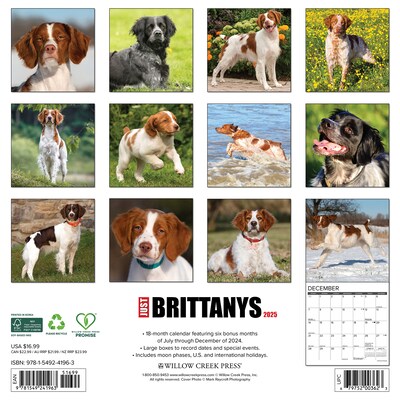 2025 Willow Creek Just Brittanys 12 x 12 Monthly Wall Calendar, Multicolor (41963)