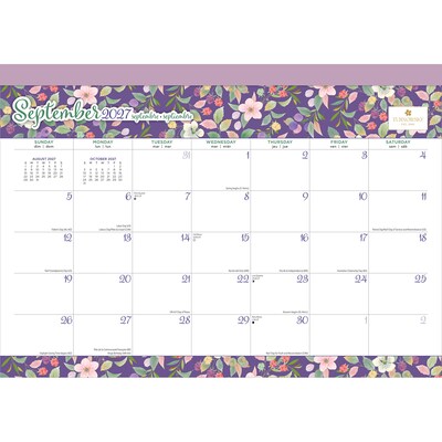 2027 BrownTrout House of Turnowsky 15.5" x 11" Monthly Desk Pad Calendar, Assorted Colors (9798330713431)