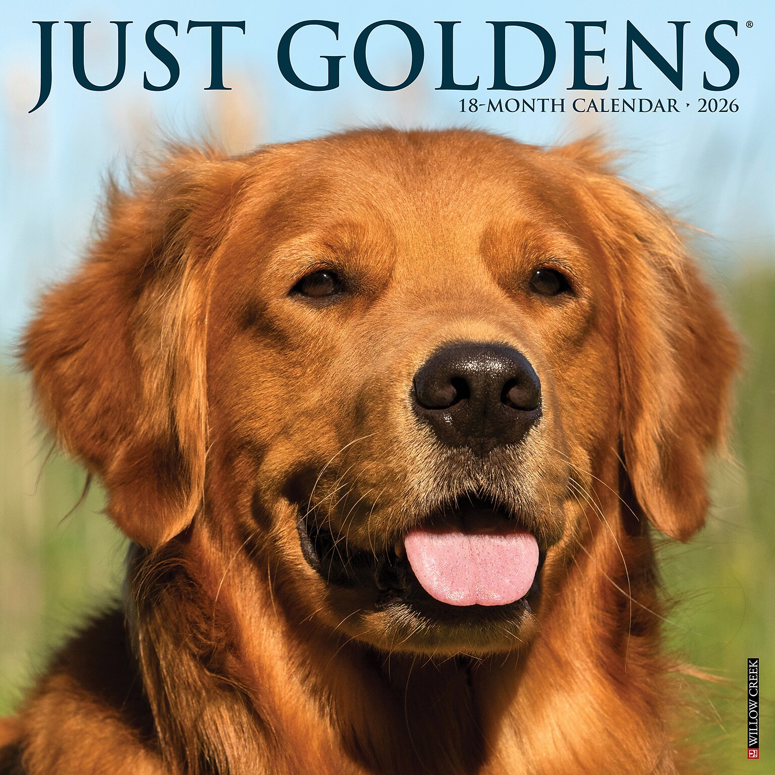 2026 Willow Creek Goldens 12 x 12 Monthly Wall Calendar (51320)