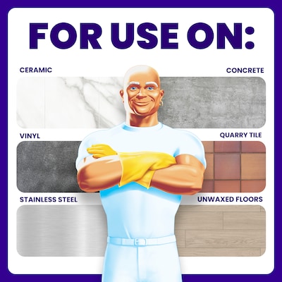 Mr. Clean Professional Degreasing Floor Cleaning Liquid, 1 Gallon (19858)