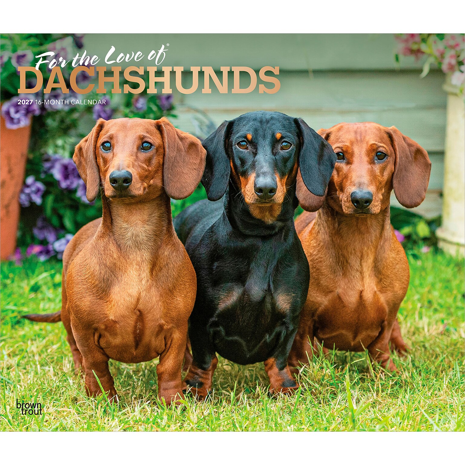 2027 BrownTrout For the Love of Dachshunds 14 x 12 Monthly Wall Calendar, Assorted Colors (9798330709243)