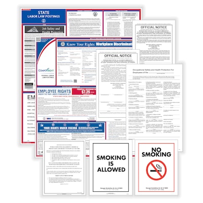 ComplyRight Federal, State and Public Sector (English) Labor Law Poster Set, Michigan (EFEDSTCRPSECM