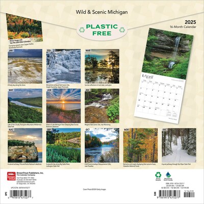 2025 BrownTrout Michigan Wild & Scenic 12 x 24 Monthly Square Wall Calendar (9781975475277)