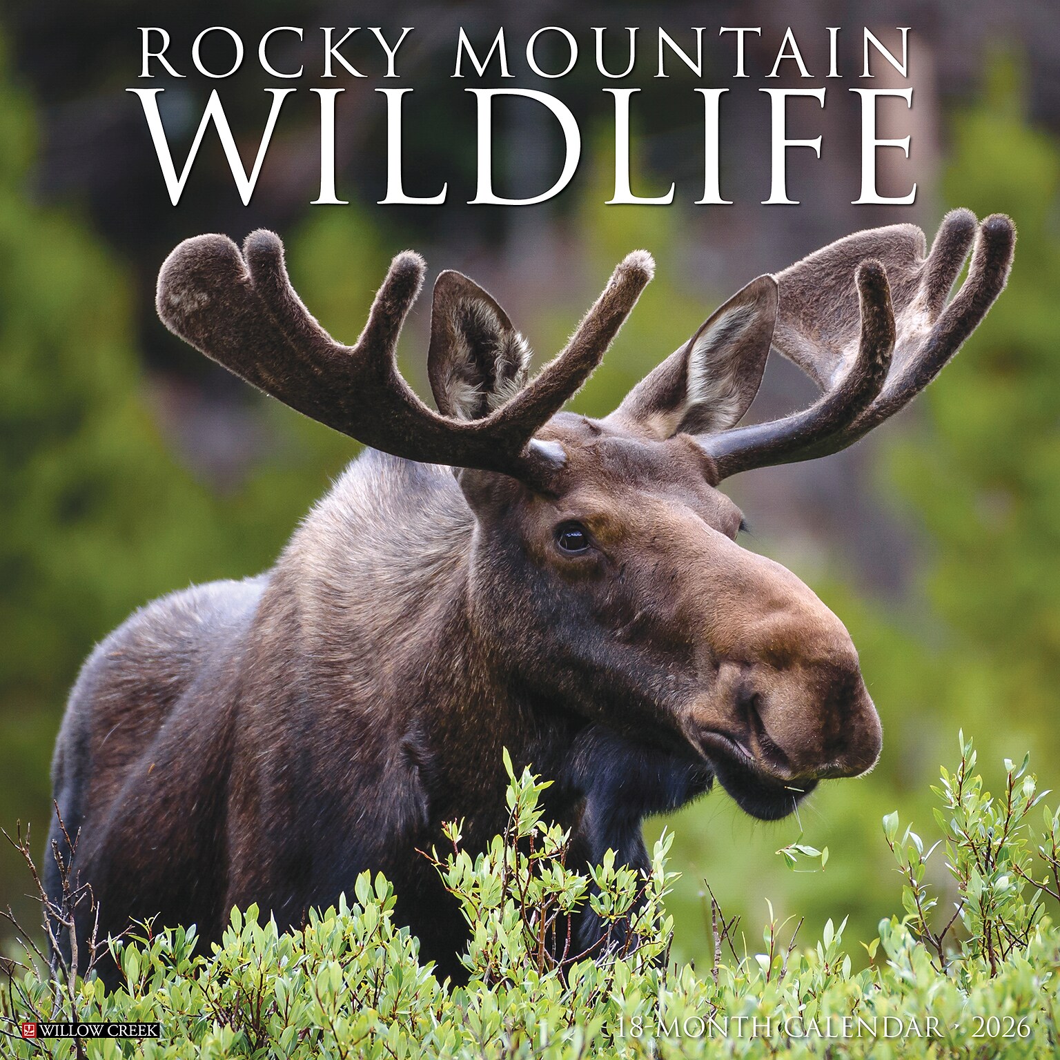 2026 Willow Creek Rocky Mountain Wildlife 12 x 12 Monthly Wall Calendar (52594)