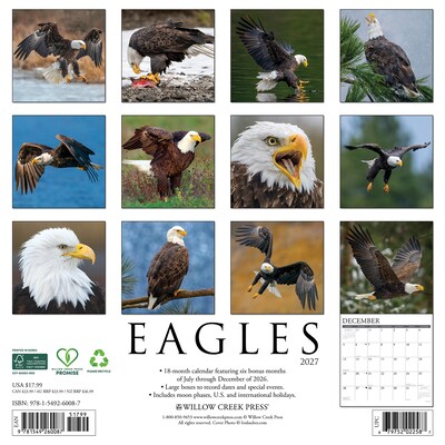 2027 Willow Creek Eagles 12 x 12 Monthly Wall Calendar, Assorted Colors (60087)