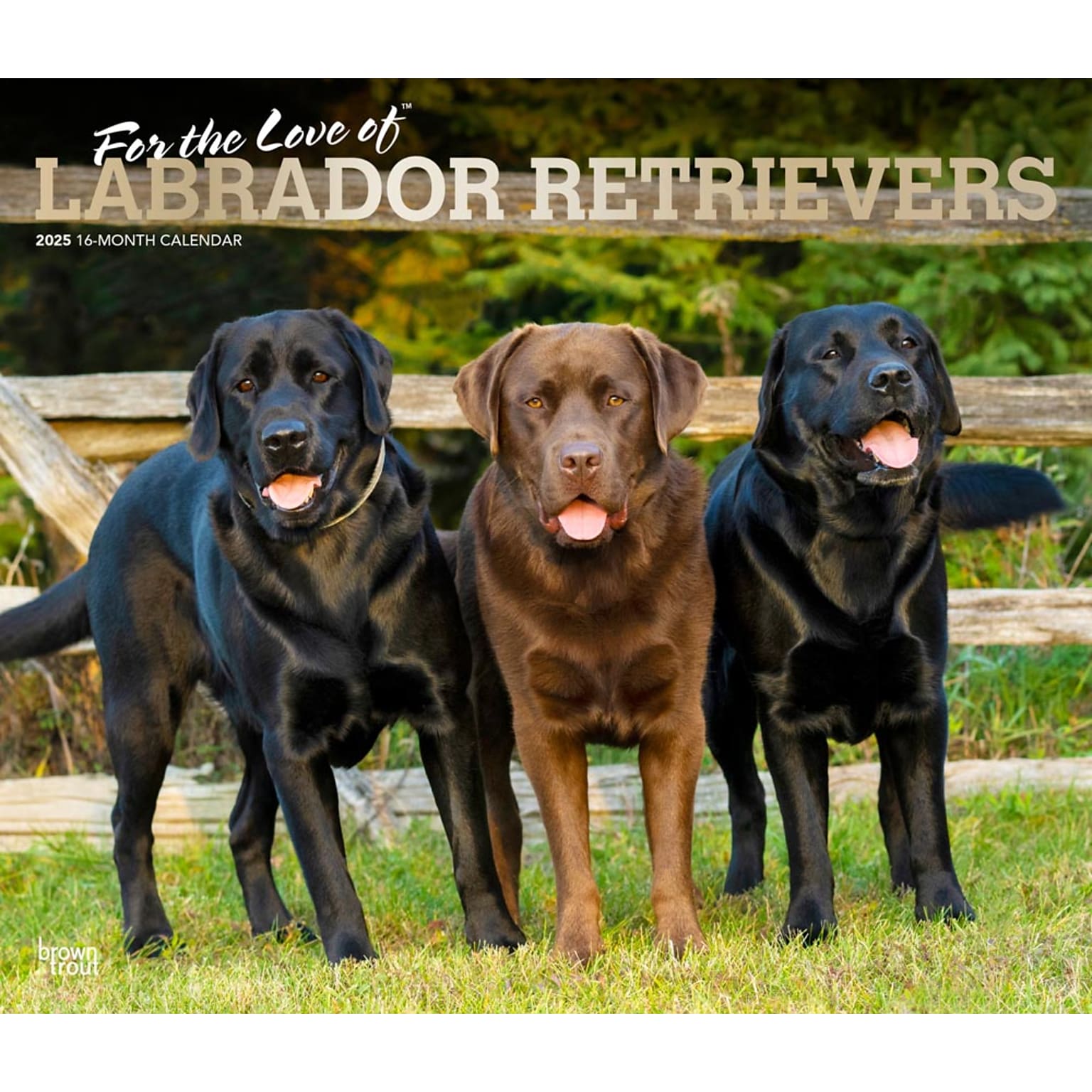 2025 BrownTrout For the Love of Labrador Retrievers 14 x 24 Monthly Deluxe Wall Calendar, (9781975473068)