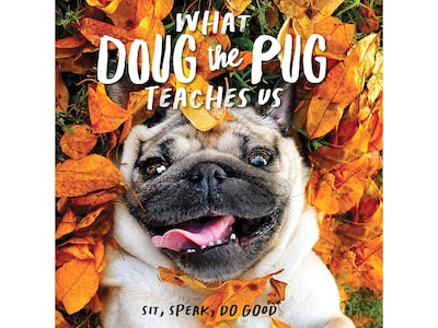 What Doug the Pug Teaches Us, Chapter Book, Hardcover (48765)