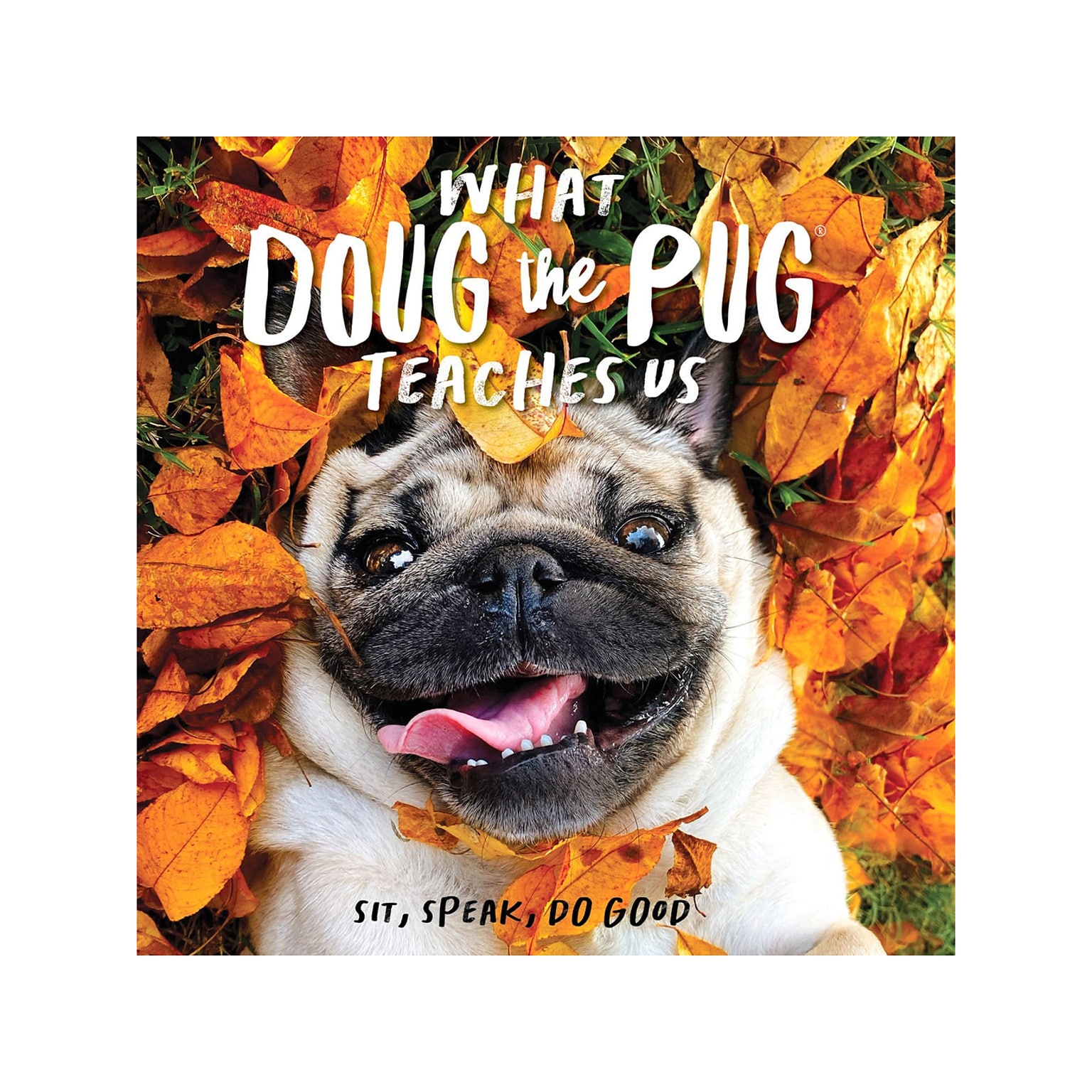 What Doug the Pug Teaches Us, Chapter Book, Hardcover (48765)