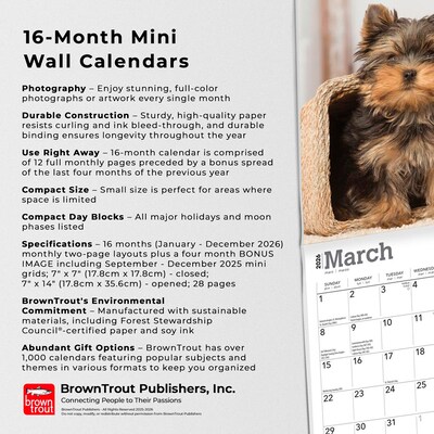 2026 BrownTrout Yorkshire Terrier Puppies 7" x 7" Monthly Wall Calendar (9798330706433)