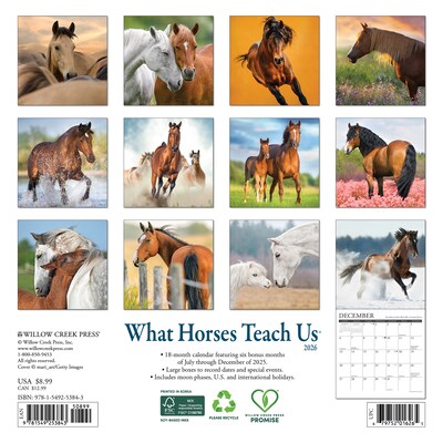 2026 Willow Creek What Horses Teach Us 7 x 7 Monthly Wall Calendar (53843)