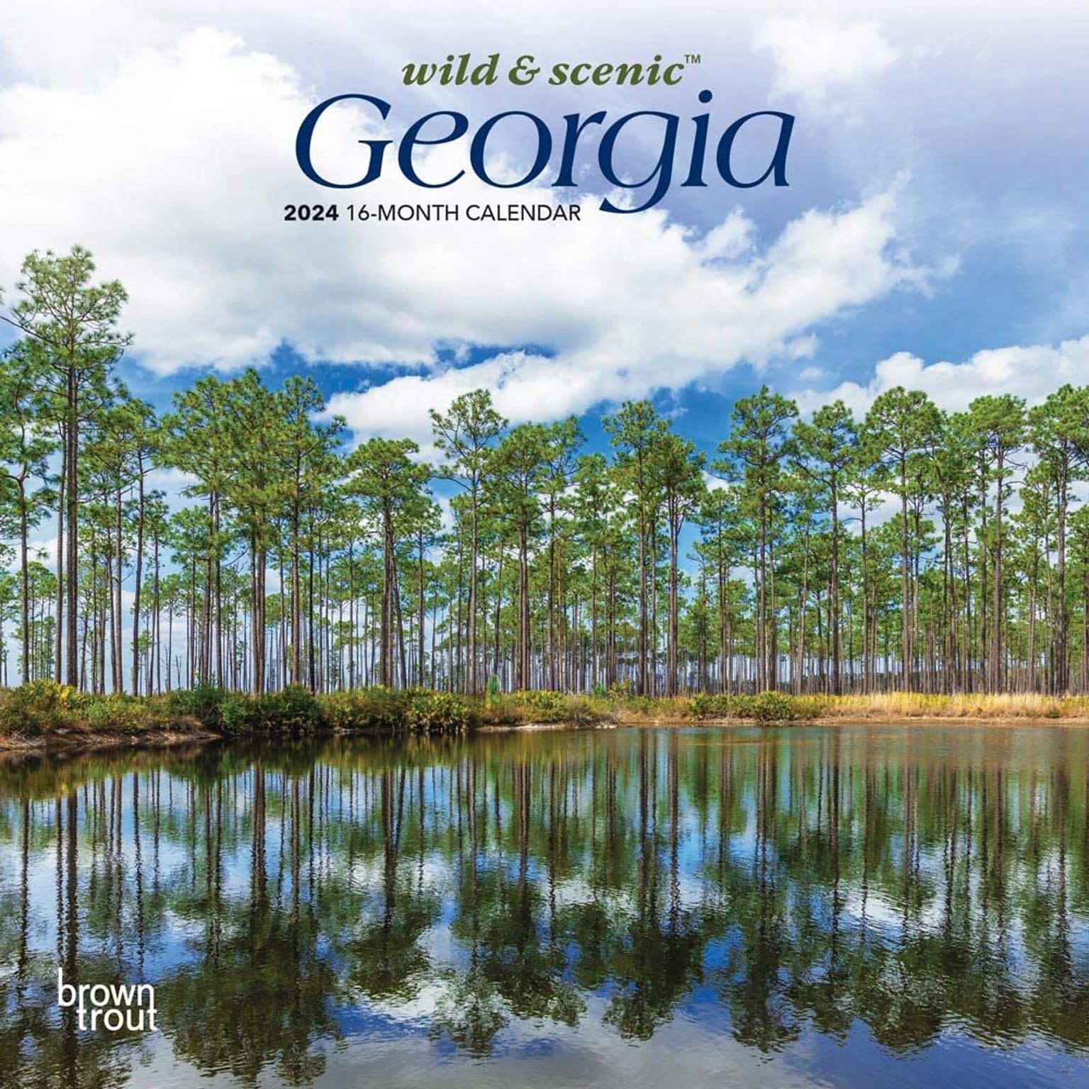 2024 BrownTrout Georgia Wild & Scenic 7 x 14 Monthly Wall Calendar (9781975462796)