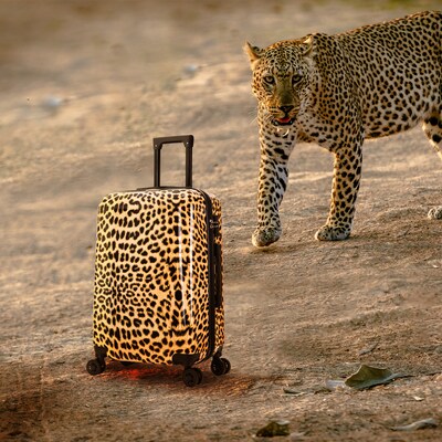 InUSA Prints 26.82" Hardside Suitcase, 4-Wheeled Spinner, TSA Checkpoint Friendly, Cheetah Animal Print (IUAPC00M-CHE)