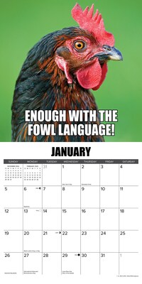 2025 Willow Creek No Clucks Given 12" x 12" Monthly Wall Calendar (44216)