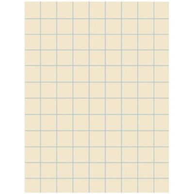 Ruled Drawing Paper, 500 Sheets, Quad Ruled, 1 Ruled, Unruled, 9 X 12, Manila Paper, 500/Pack (52801)