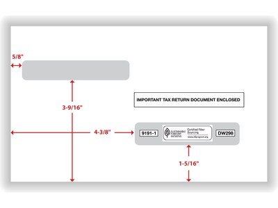 ComplyRight Double Window Envelope, 5.63" x 9", White/Black, 100/Pack (91911)