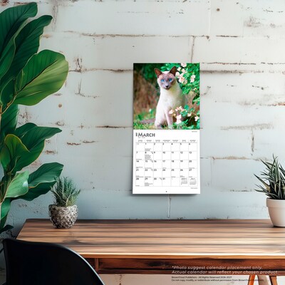 2027 BrownTrout Cat Lovers 7" x 7" Monthly Wall Calendar, Assorted Colors (9798330709717)